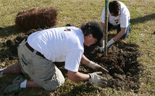Project Home Again images gallery -- Treeplanting